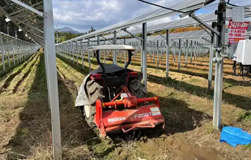 نصب کشاورزی (Agrivoltaic / Farmland Mounting)